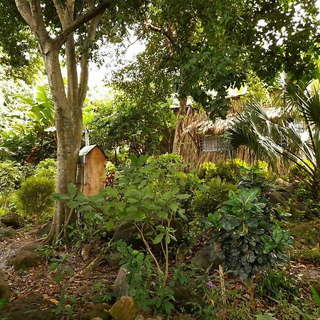 El Bamboo Cabins Balgue Zewnętrze zdjęcie