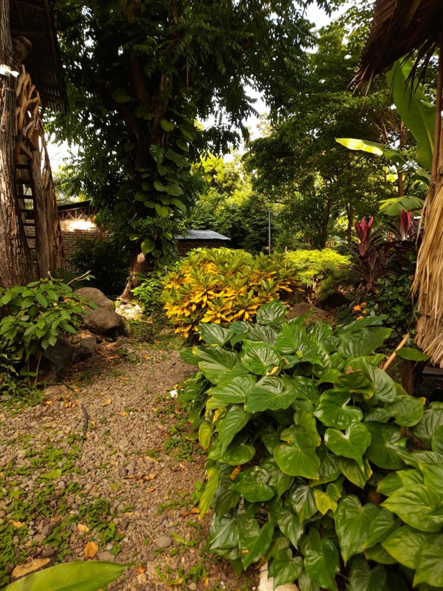El Bamboo Cabins Balgue Zewnętrze zdjęcie
