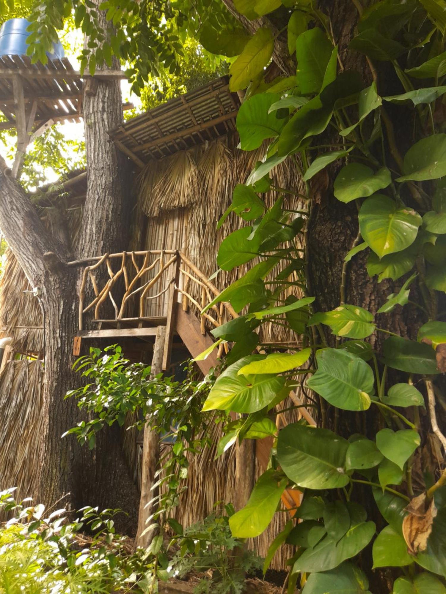 El Bamboo Cabins Balgue Zewnętrze zdjęcie