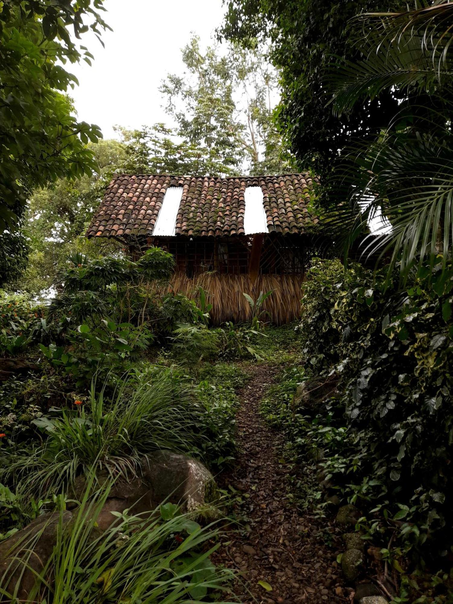 El Bamboo Cabins Balgue Zewnętrze zdjęcie