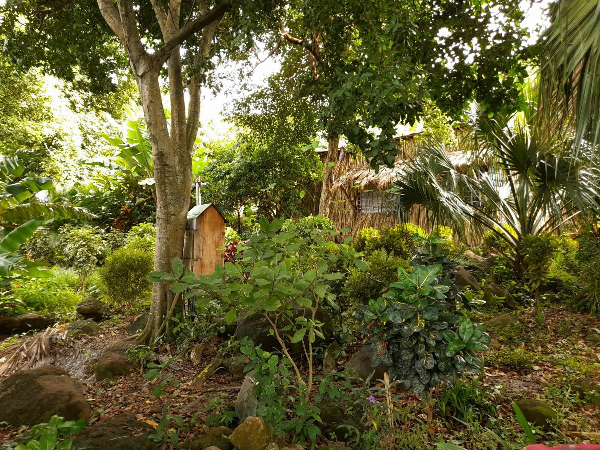 El Bamboo Cabins Balgue Zewnętrze zdjęcie