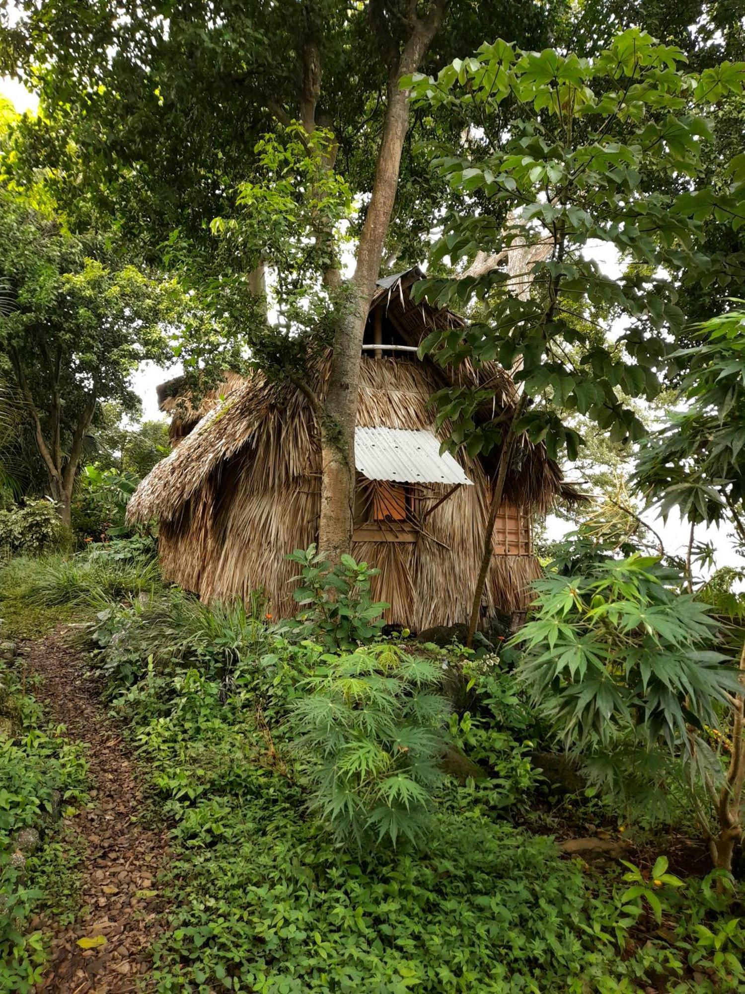 El Bamboo Cabins Balgue Zewnętrze zdjęcie